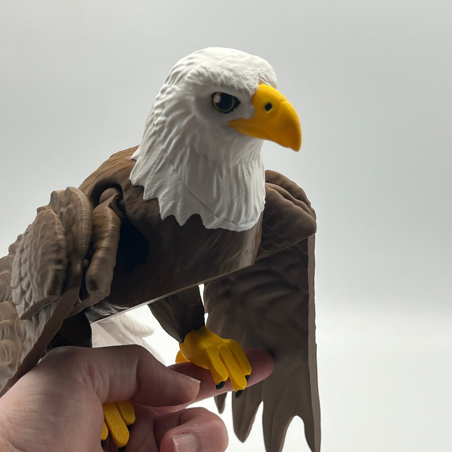 Flexi Eagle